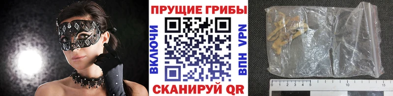 Псилоцибиновые грибы Psilocybe  Пошехонье 